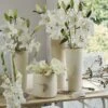 Collection Bulbes Pour Bouquets Modernes Blancs